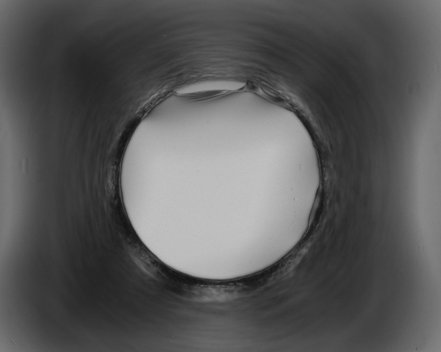 X0000084550305200703231742