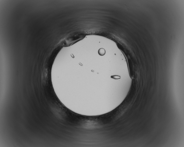 X0000084550308200703231742