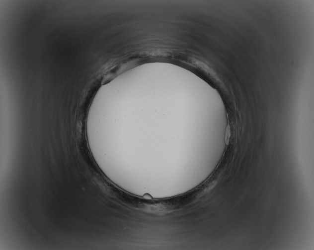 X0000084550309200703231742