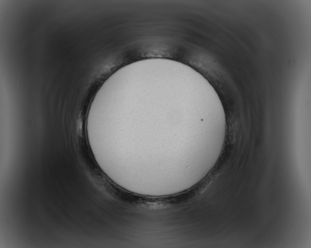 X0000084550310200703231742