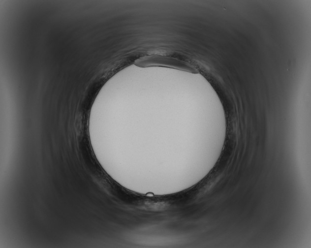 X0000084550311200703231742