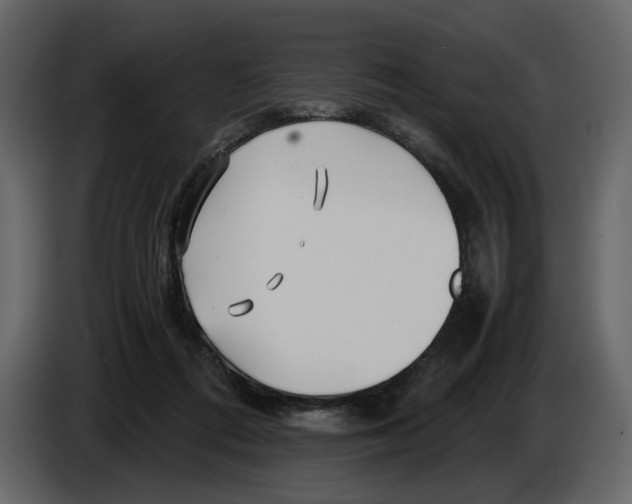 X0000084550312200703231742