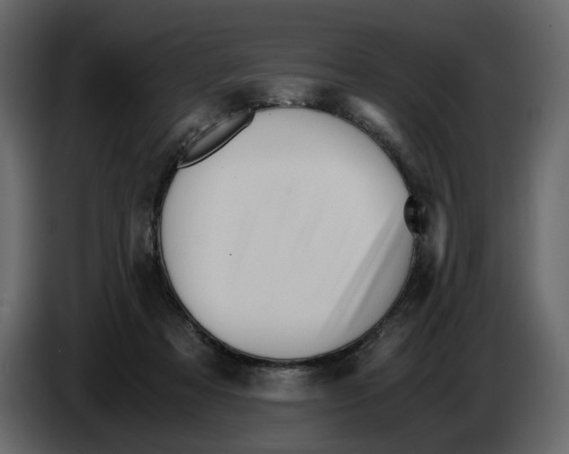 X0000084550313200703231742