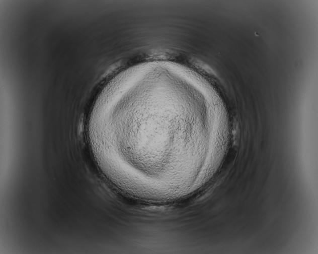 X0000084550314200703231742