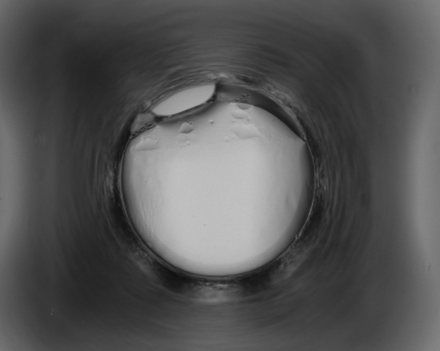 X0000084550315200703231742