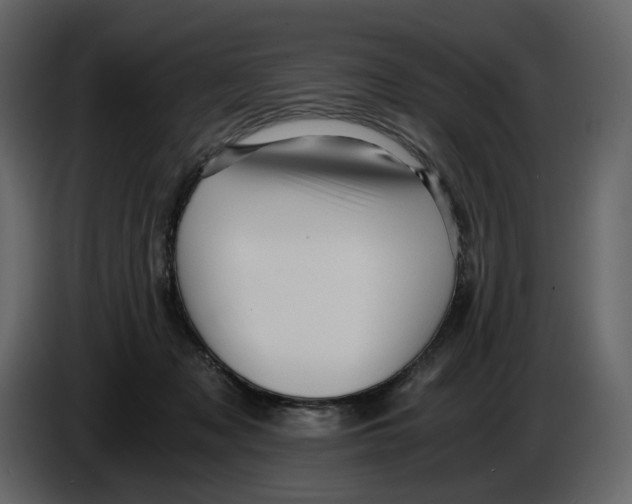 X0000084550317200703231742