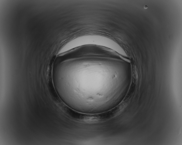 X0000084550319200703231742