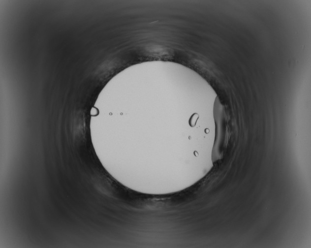 X0000084550320200703231742