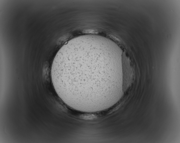 X0000084550322200703231742