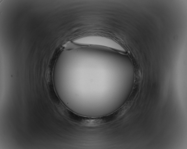 X0000084550323200703231742