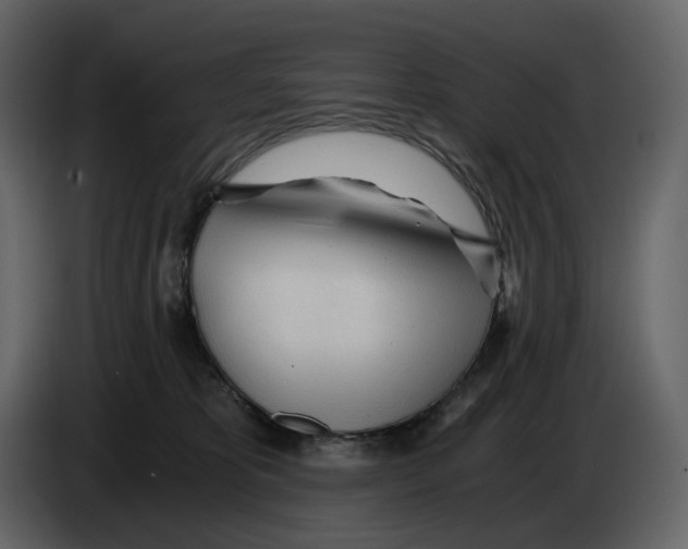 X0000084550325200703231742