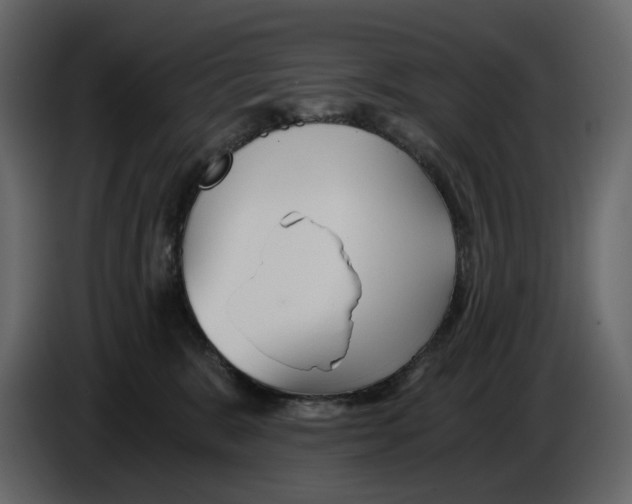 X0000084550327200703231742