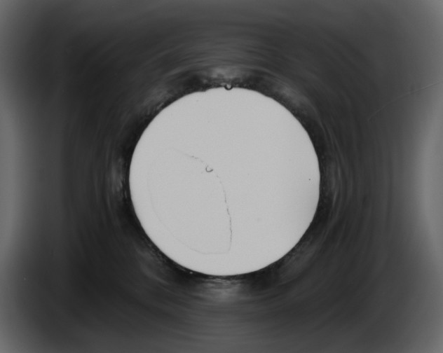 X0000084550328200703231742