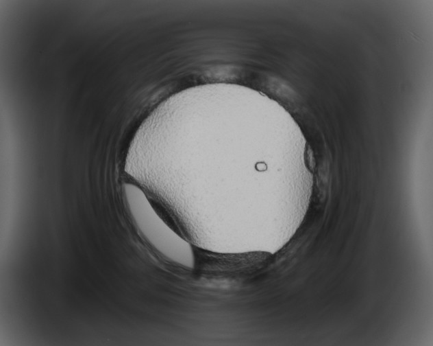 X0000084550330200703231742