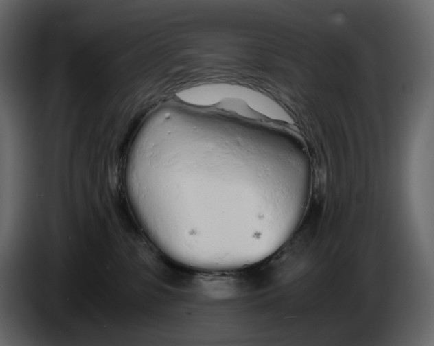 X0000084550331200703231742