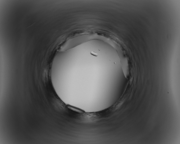 X0000084550333200703231742