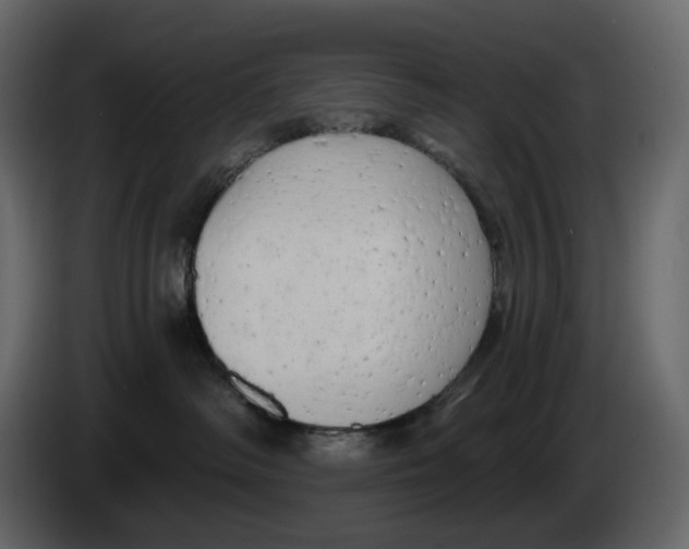 X0000084550334200703231742