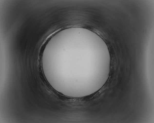 X0000084550338200703231741