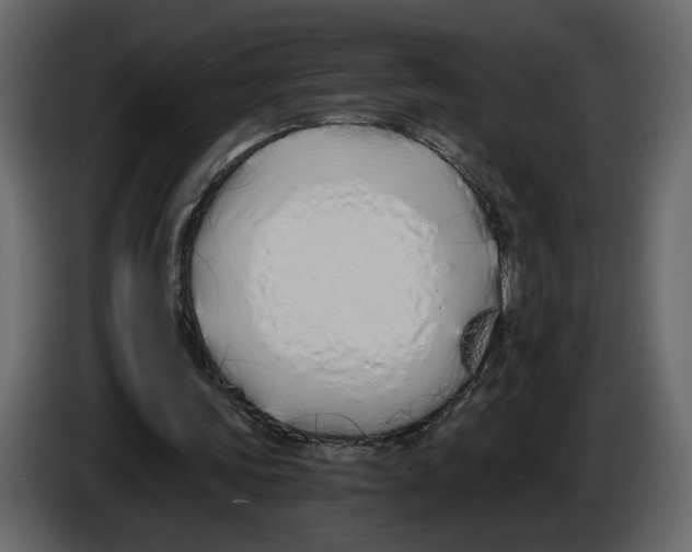 X0000084550339200703231741