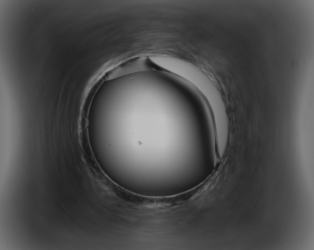 X0000084550340200703231741