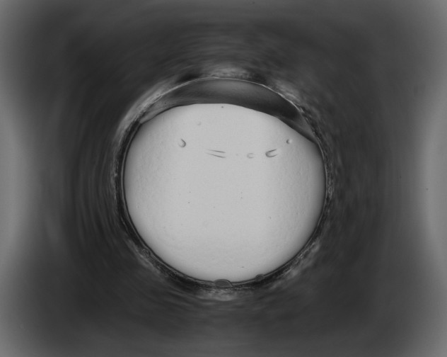 X0000084550341200703231741