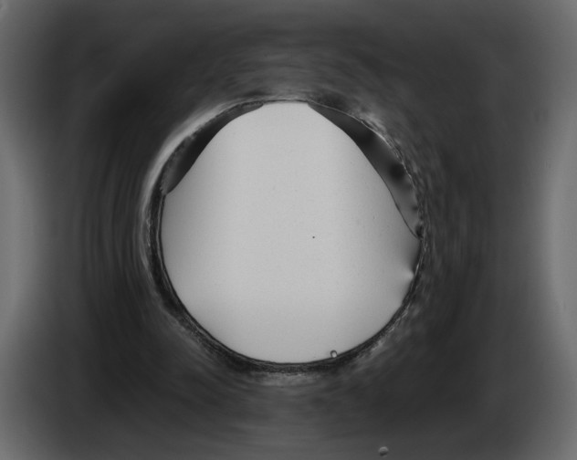 X0000084550342200703231741