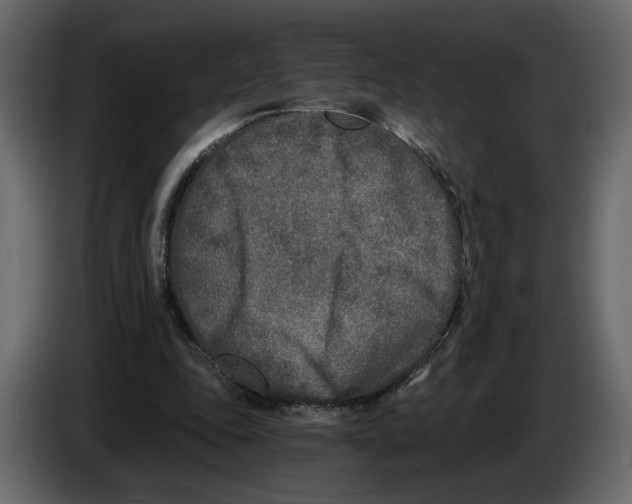 X0000084550343200703231741