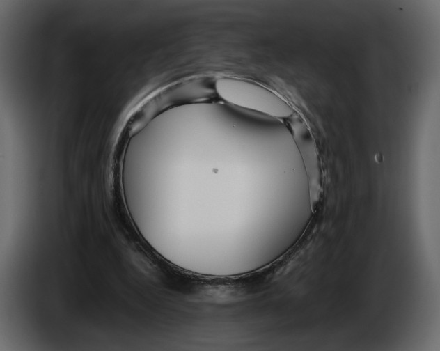 X0000084550344200703231741