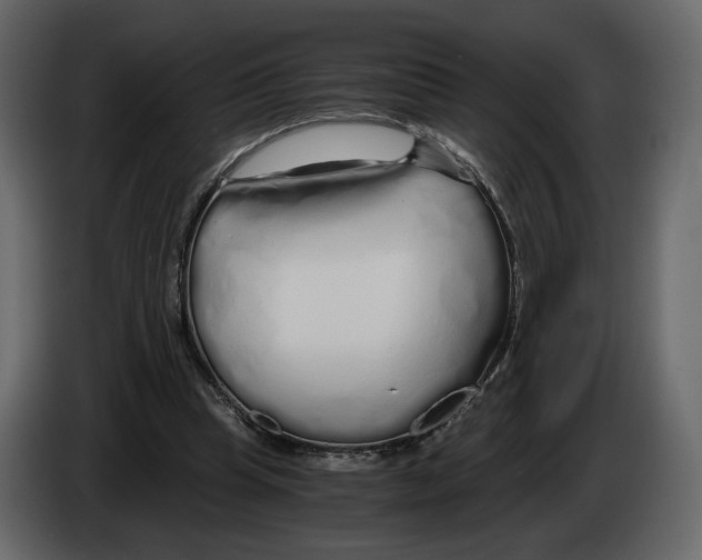 X0000084550345200703231741