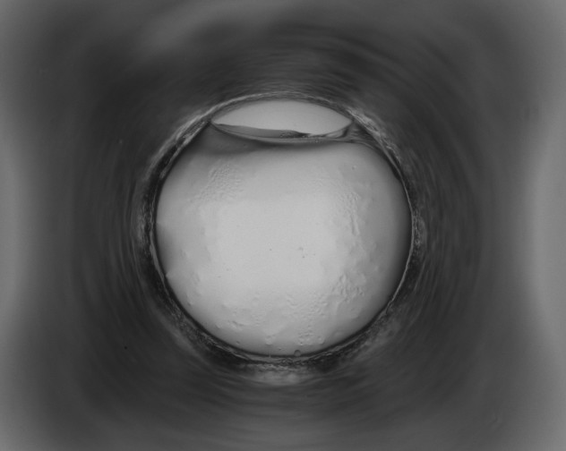 X0000084550347200703231741