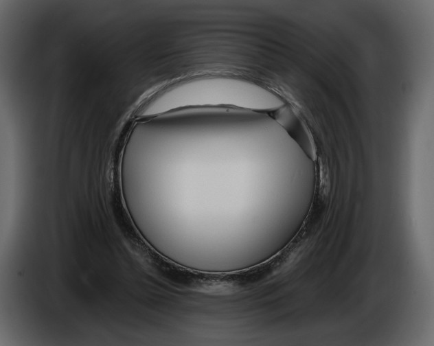 X0000084550348200703231741