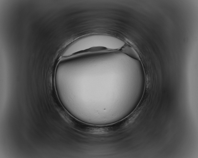 X0000084550349200703231741