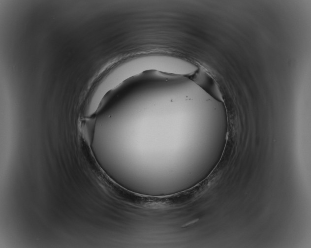 X0000084550350200703231741