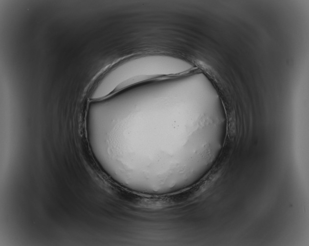 X0000084550351200703231741