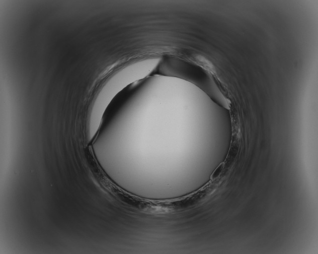 X0000084550352200703231741