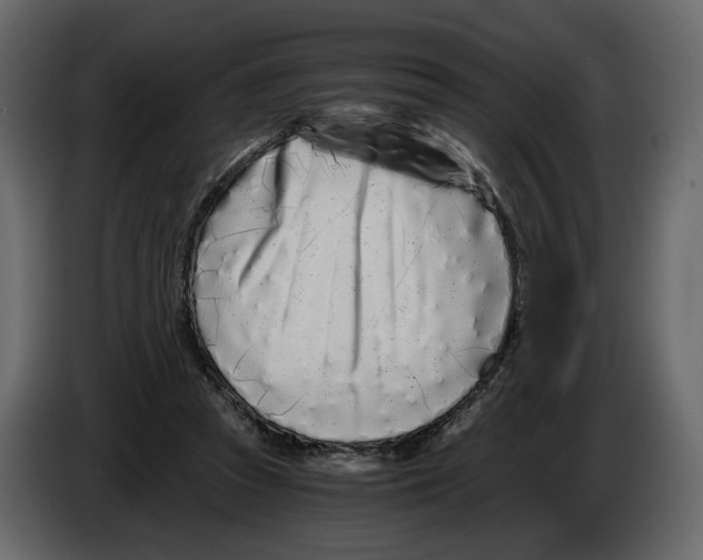 X0000084550353200703231741