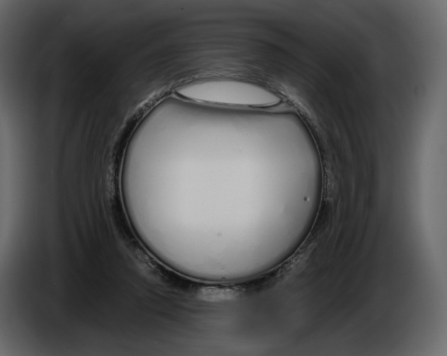 X0000084550354200703231741