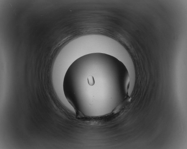 X0000084550356200703231741