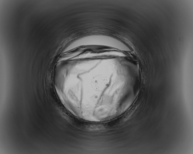 X0000084550357200703231741