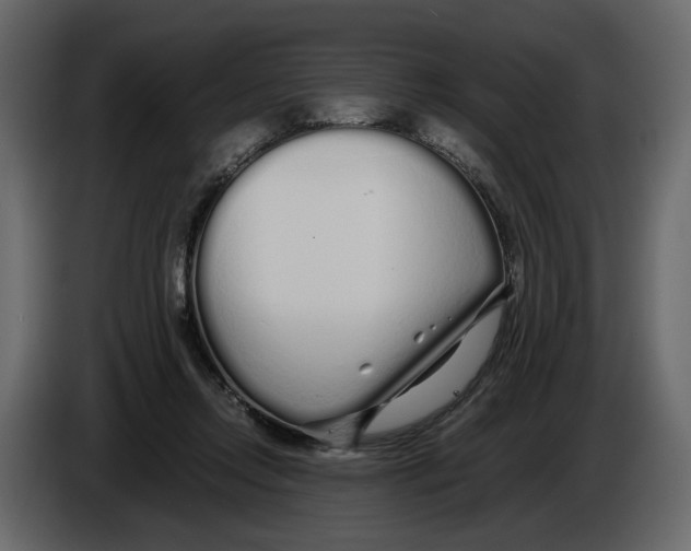 X0000084550358200703231741