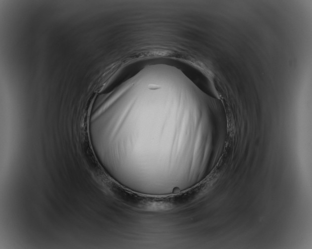 X0000084550360200703231741