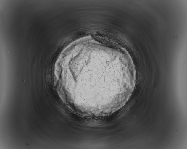 X0000084550361200703231741