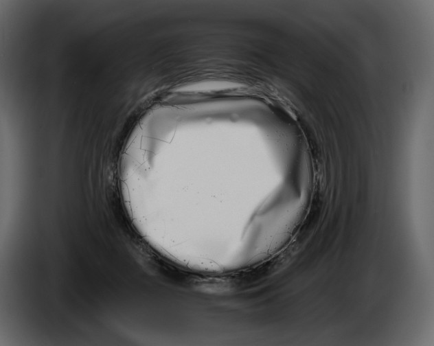 X0000084550363200703231741