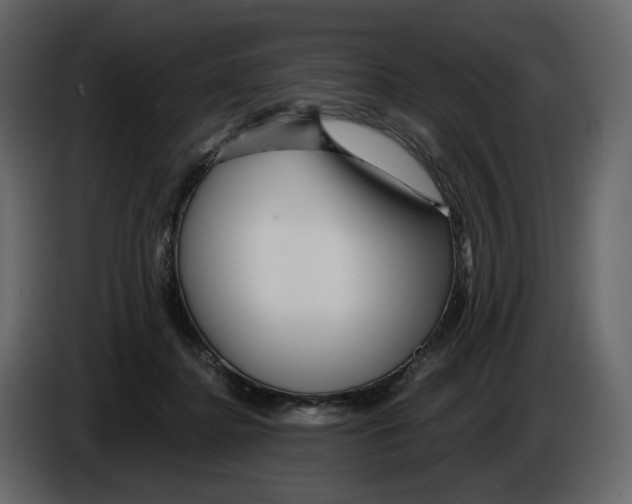 X0000084550364200703231741