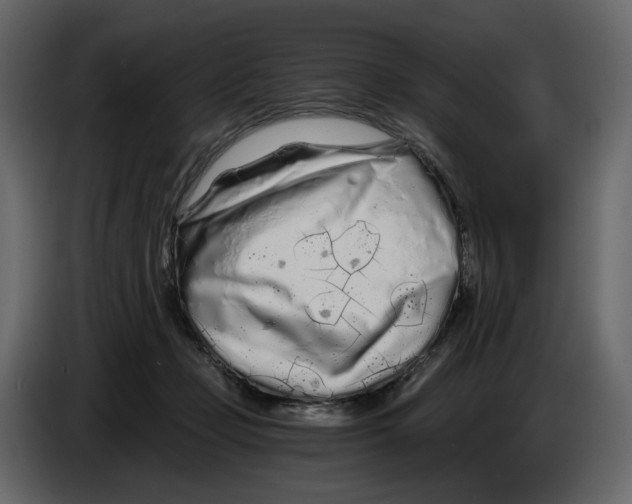 X0000084550365200703231741