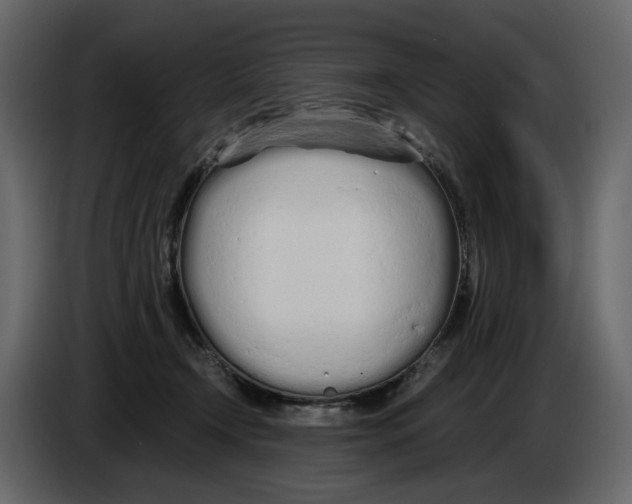 X0000084550366200703231741