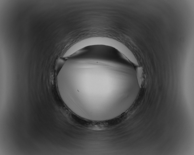 X0000084550368200703231741