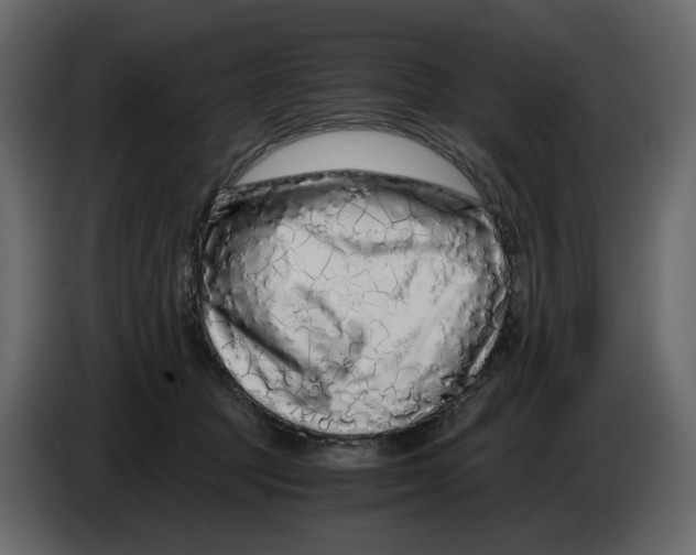 X0000084550369200703231741