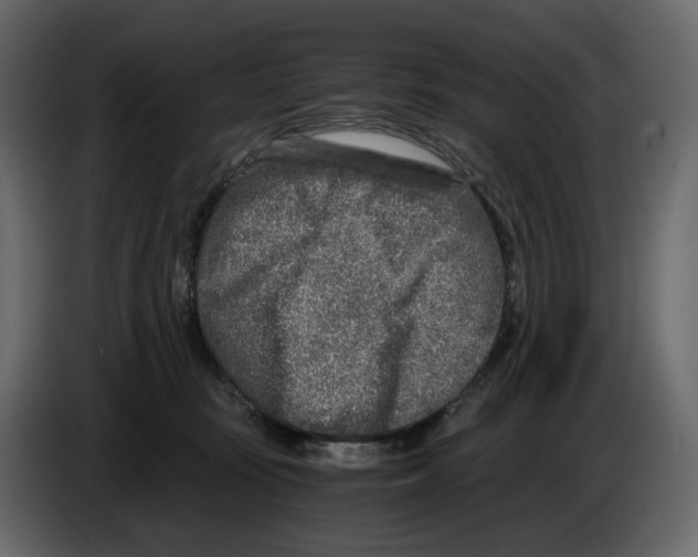 X0000084550371200703231741