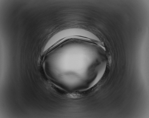 X0000084550372200703231741